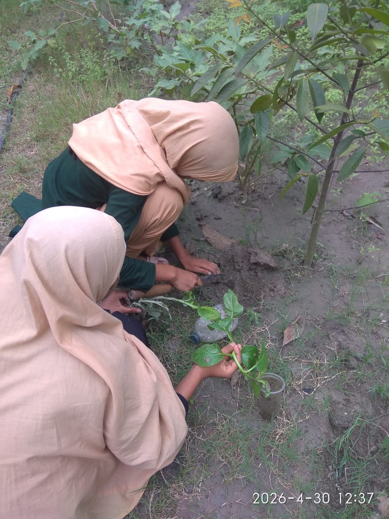 Students planting trees