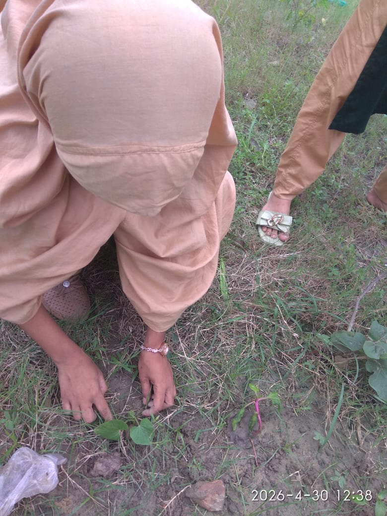 Hands-on learning through nature