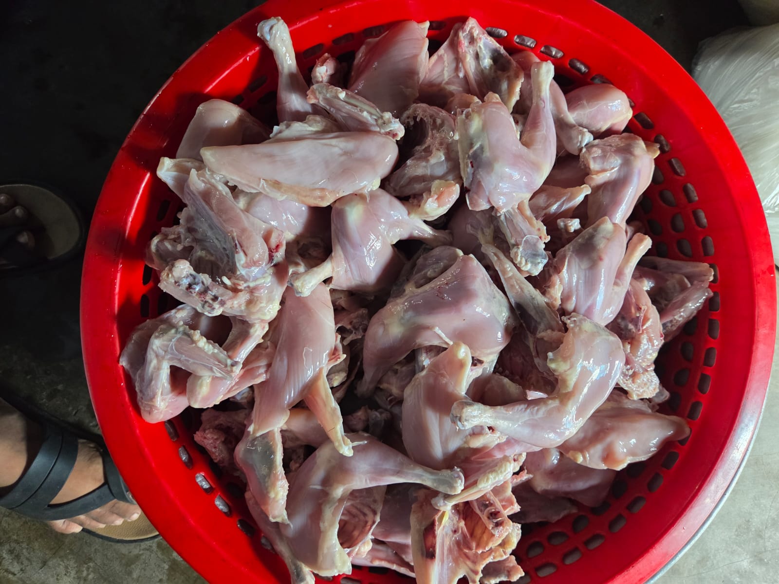 Special Meals for Orphan Students — photo 3